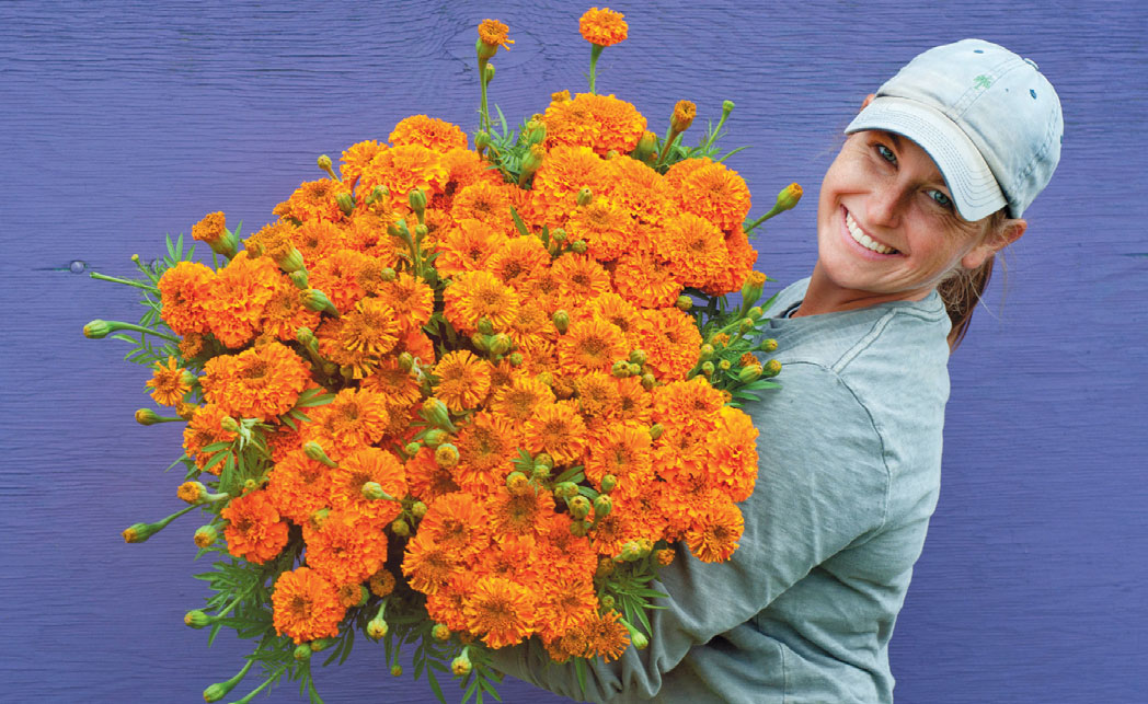 ROSE ROBSON: Robson’s Farm, Wrightstown