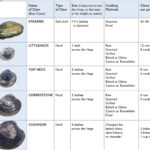 Clams-A-Cooks-Guide-1.jpg
