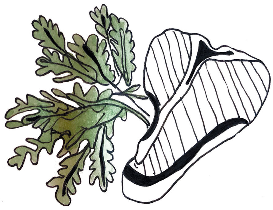 drawing of arugula and steak