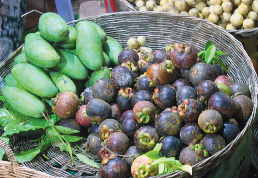 Cambodian papayas and mangosteens
