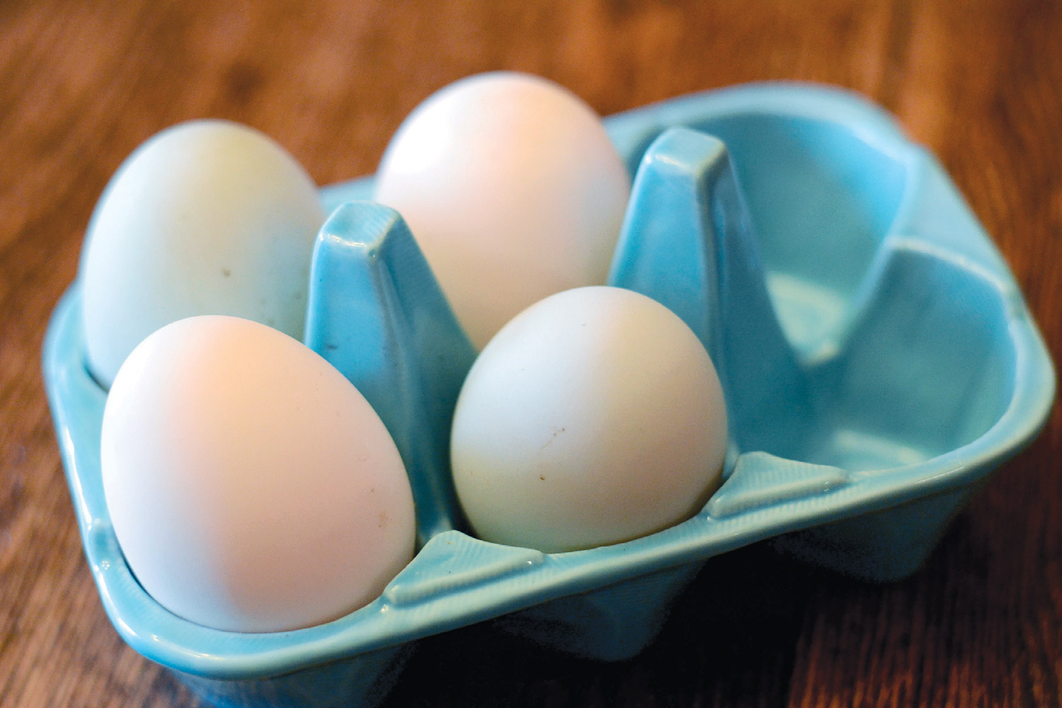eggs in carton