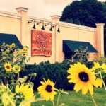 Apple Street Kitchen