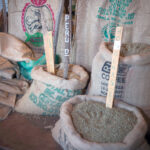 Bags of coffee beans