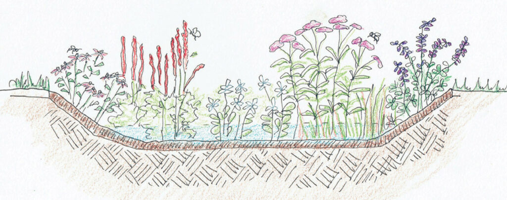 rain-gardens-1.jpg