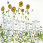 illustration of bee hives