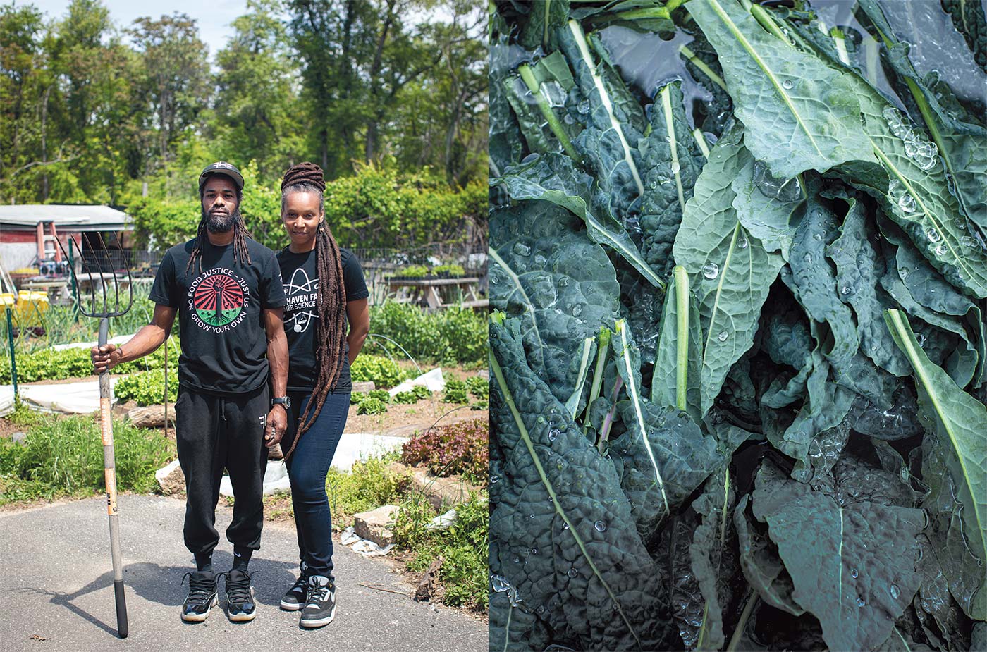 Free Haven Farms
