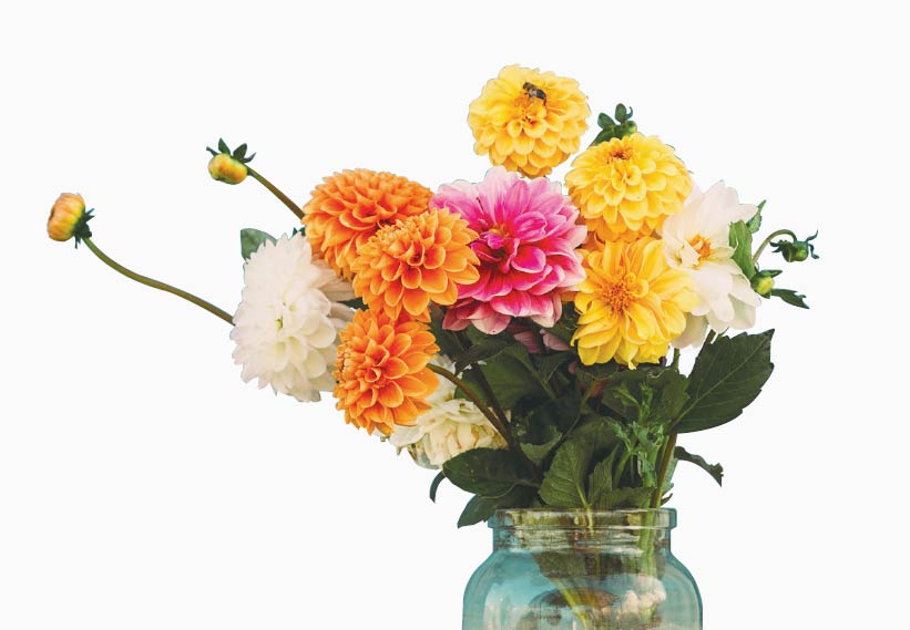 bouquet of flowers from a cutting garden