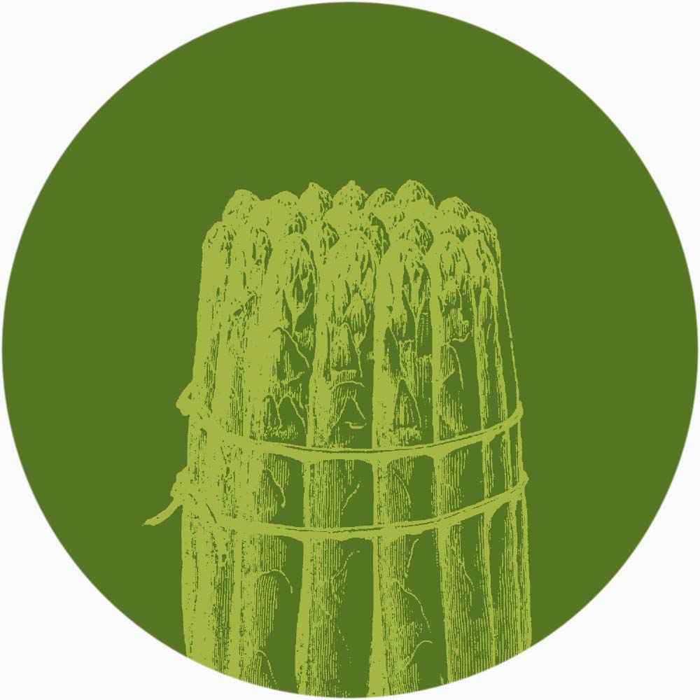 asparagus bunch