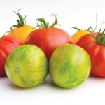 heirloom tomatoes