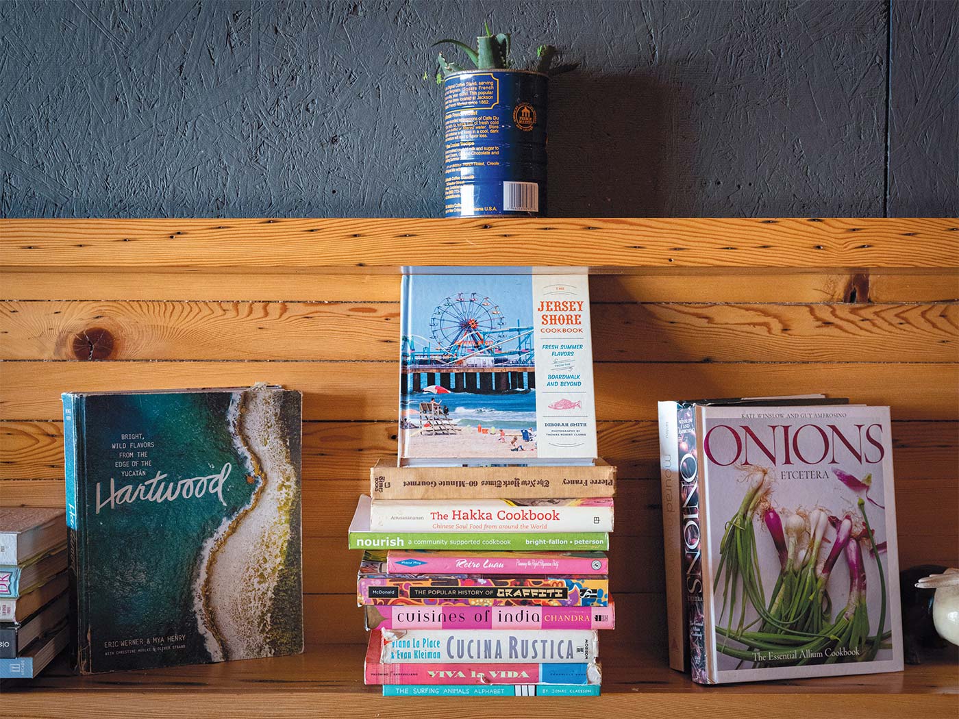 Marilyn Schlossbach books